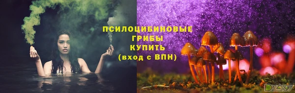 хмурый Абинск