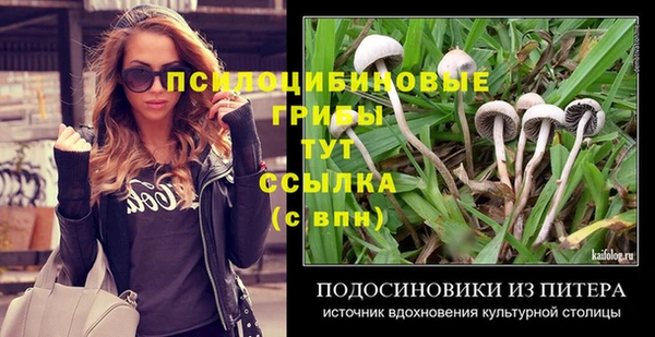 хмурый Абинск