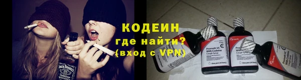 тгк Абаза