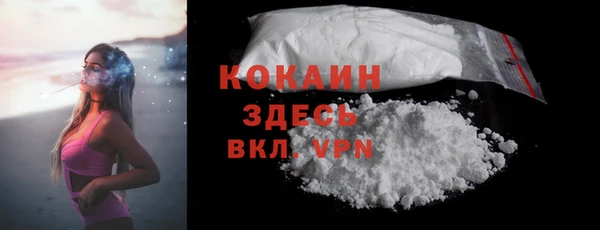 тгк Абаза