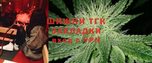 тгк Абаза