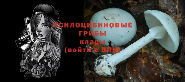 хмурый Абинск