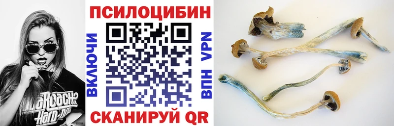 Галлюциногенные грибы прущие грибы  купить наркотики цена  Сураж 