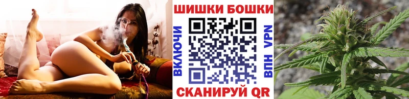 Марихуана сатива  Сураж 